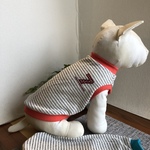 ボーダータンク