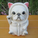 招き猫！？★ペキニーズ①（金運）