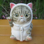 招き猫！？★エキゾチックショートヘア②（金運）