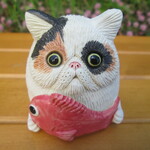 めで鯛★エキゾチックショートヘア③