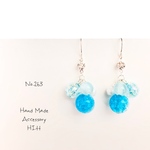 pierce/earring.263