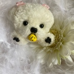 ｡*マルチーズちゃんおもちゃ付きクリップ*｡