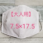 ⑬番【送料無料】【大人用】【夏用薄地】インナーマスク　１枚　