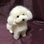 羊毛フェルト　トイプードル
