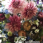 母の日 生花 Merci Maman おまかせ  bouquet 季節の花を束ねて