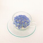 ティーカップ　ネモフィラ　ドライフラワー　ボトルフラワー
