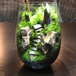 苔テラリウム　LEDライト蓋付き 気孔石の山