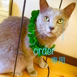 ニコ様オーダー専用