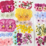 *＊♡nokata33333様専用押し花アソート♡＊*