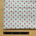 ＊ ダブルガーゼ ＊かわいい🍓いちご柄＊53×24☆みずいろ♡