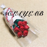 ☆送料無料☆愛を込めて花束を／赤薔薇7本花束　母の日
