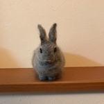 l様オーダー品チベットスナギツネ