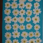 押し花商品【カモミール】