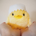 ピヨ子