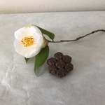 胡桃 ブローチ