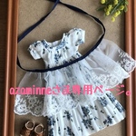 azaminneさま専用ページ。