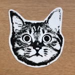 CATステッカーＬサイズNO1〜5