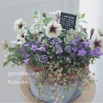 🌸毎年人気のカプチーノ🌸お花でほっこり❁⃘*.ﾟ大人エレガントなカプチーノの寄せ植え
