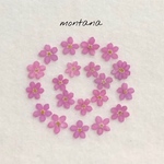 No.3 押し花　〜 忘れな草　ピンク