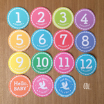 【再販】BABYマンスリーステッカー  dot. フォトプロップス