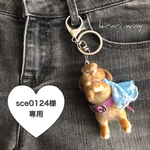 sce0124様専用 ちびっこ着せ替えｳｻｷﾞたれ耳(ｵﾚﾝｼﾞ系)
