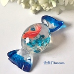 キャンディ金魚〜クールブルーベリー(グリーン)