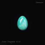 エバンスターコイズ カボション Evans Turquoise