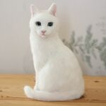 ☆kisyoewn0421さま専用ページ☆