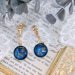 レジン　星座のきらめくイヤリング／ピアス