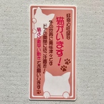 好奇心旺盛猫ステッカー(縦ピンクベージュ)2匹