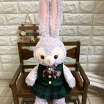 ステラルーリバーシブルベストの制服