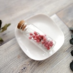 植物標本　Botanical Collection■No.11 ペッパーベリー　ピンク