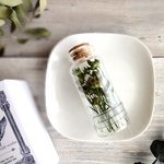 植物標本　Botanical Collection■No.12 フラックス