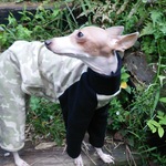 イタグレ服ロンパース 迷彩柄