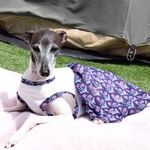 北欧柄ワンピース👗