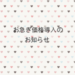 【お急ぎ価格】お急ぎの方はこちらを追加下さい