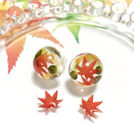 雫のなかの小さな秋 紅葉と木の実