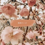  〈 専用ページ 〉