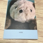 水族館 （豆知識つき）