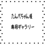 ★Dカン付★可愛いプードル柄のマスクケース