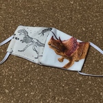 マスク　子供用　恐竜③🦕🦖