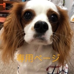 runarunajun様専用ページ