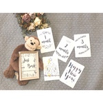 【送料無料】月齢カード＊月齢フォト＊全16枚＊ナチュラル