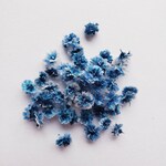 かすみ草のドライフラワー　コバルト 訳あり