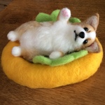 コーギーパピードッグ🌭