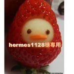 hermes 1128様専用ページ