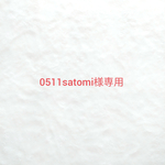 0511satomi様専用　ウールレター