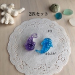 【マグネット2匹セット】*ジンベエベビー #3