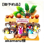 【御予約品】akamaru様