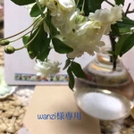 wanzi様専用ページ